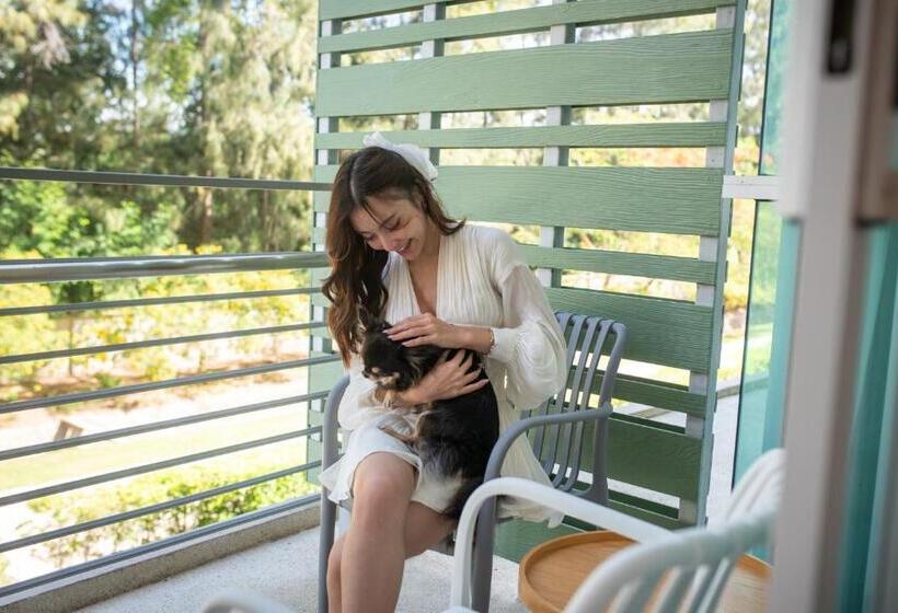 غرفة قياسية مطلّة علي الحديقة, The Kaset