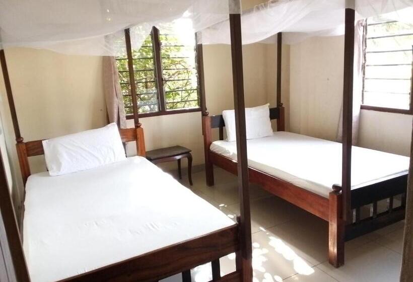 חדר אקונומי, Cingaki