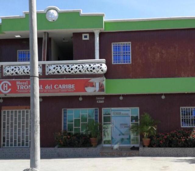 스탠다드 룸, Troncal Del Caribe