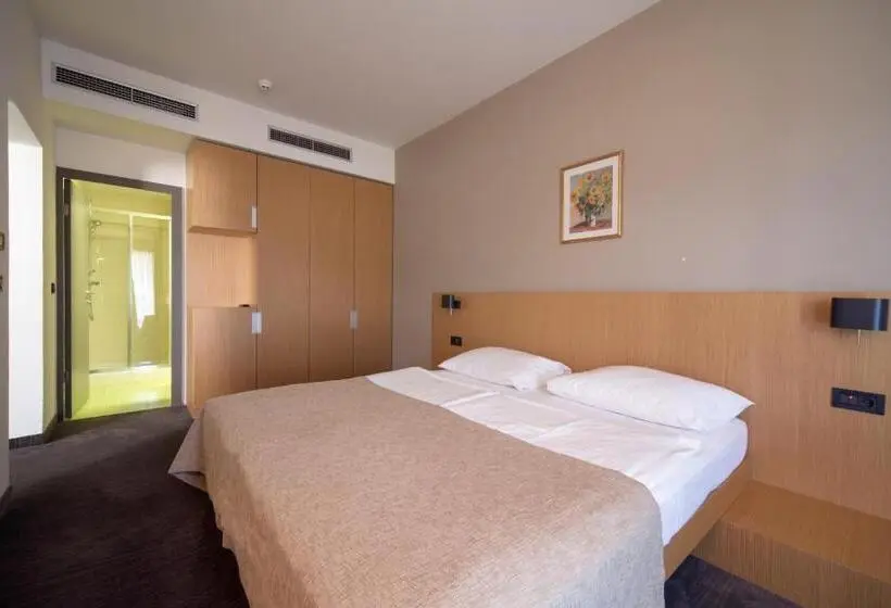 エコノミールーム, Terme Tuhelj Hotel Well