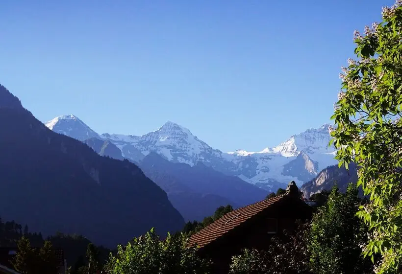 ルームシェアのワンベッド, Adventure Hostel Interlaken
