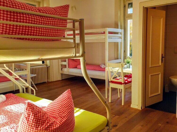 מיטה בחדר משותף, Adventure Hostel Interlaken