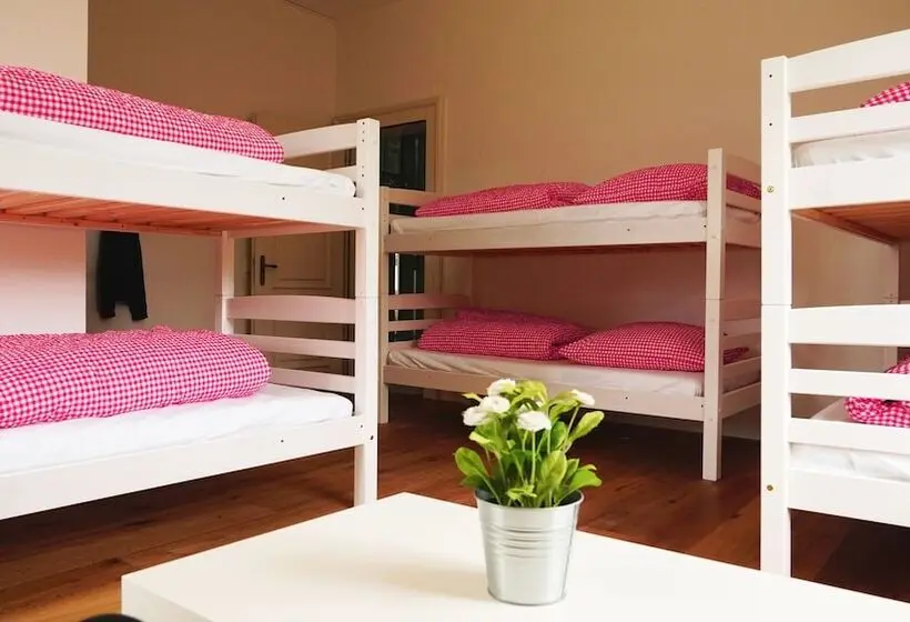 ルームシェアのワンベッド, Adventure Hostel Interlaken