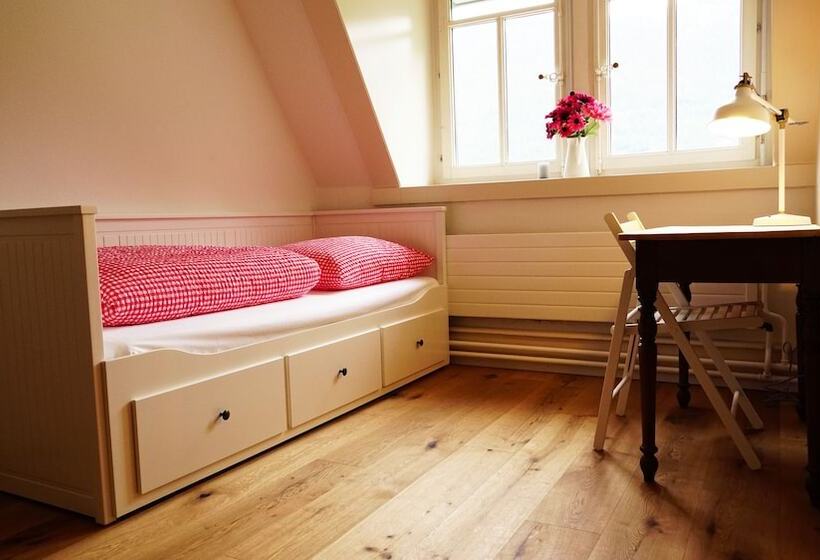 חדר סטנדרט יחיד, Adventure Hostel Interlaken