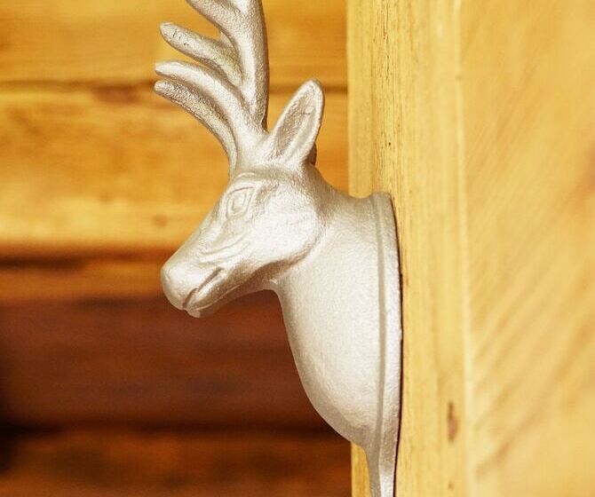 מיטה בחדר משותף, Adventure Hostel Interlaken