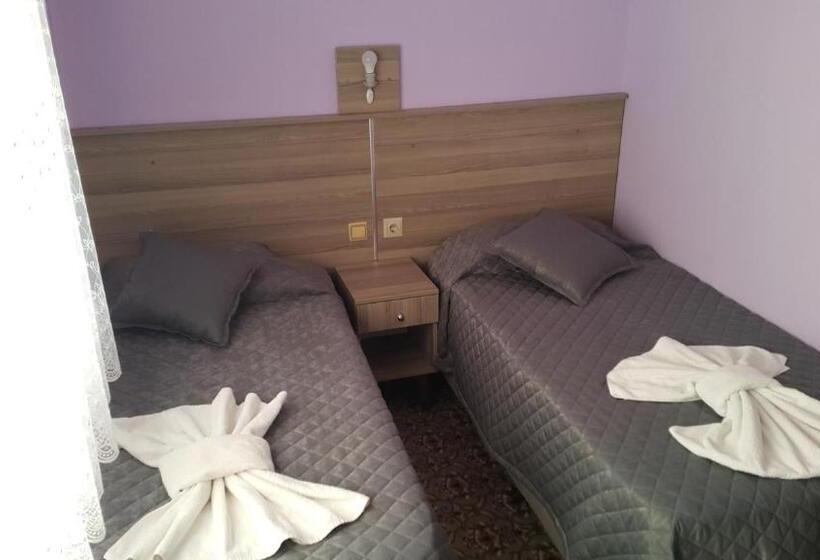 带阳台的三人标准间, Grand Yayla