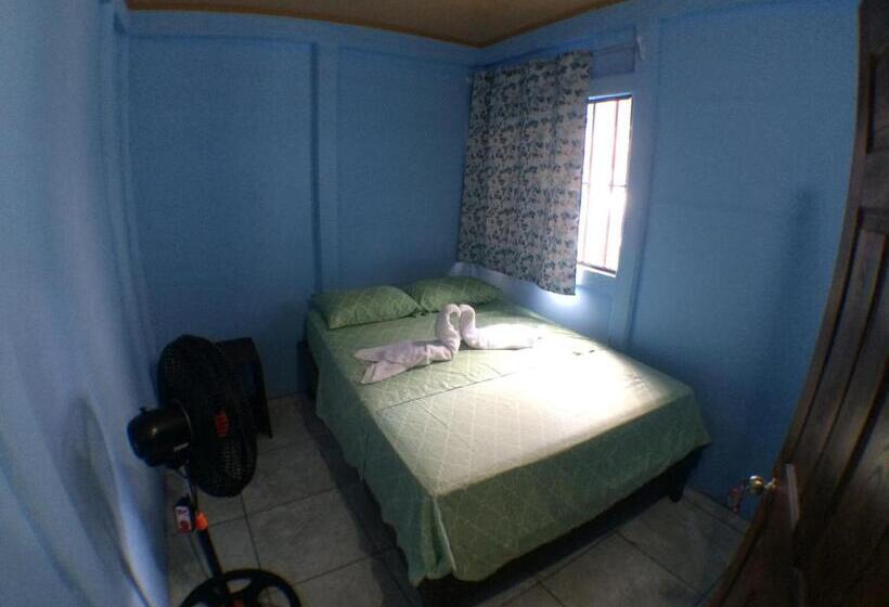 اتاق استاندارد, Green Macaw Hostel