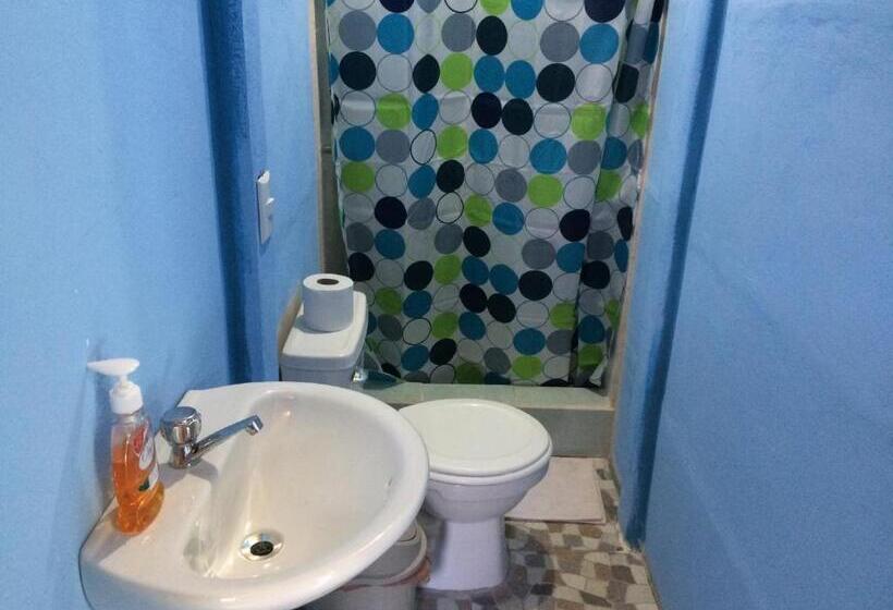 اتاق استاندارد, Green Macaw Hostel