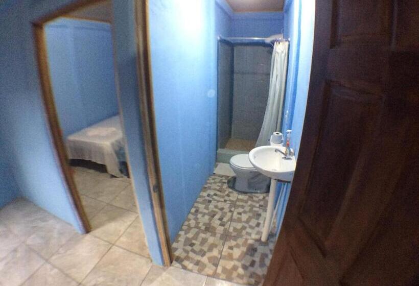 اتاق استاندارد, Green Macaw Hostel