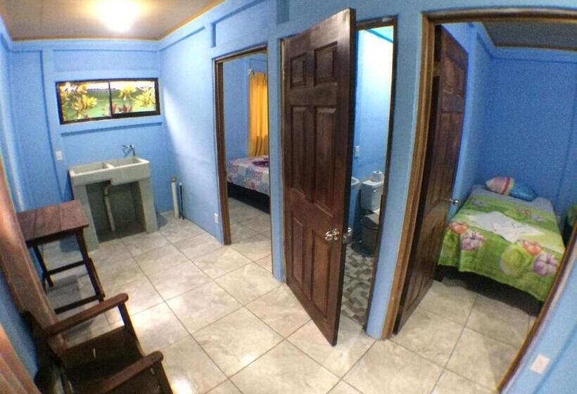 اتاق استاندارد, Green Macaw Hostel
