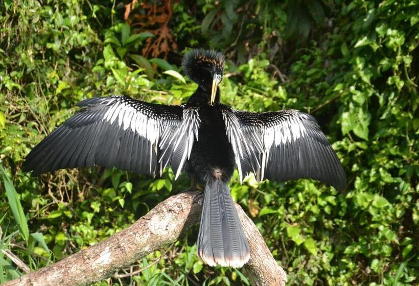 اتاق خانوادگی, Green Macaw Hostel