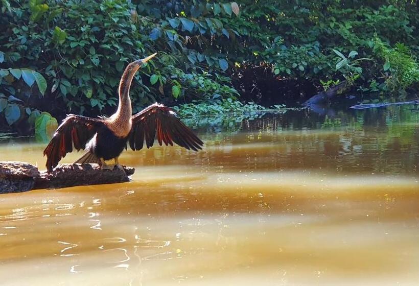 اتاق خانوادگی, Green Macaw Hostel