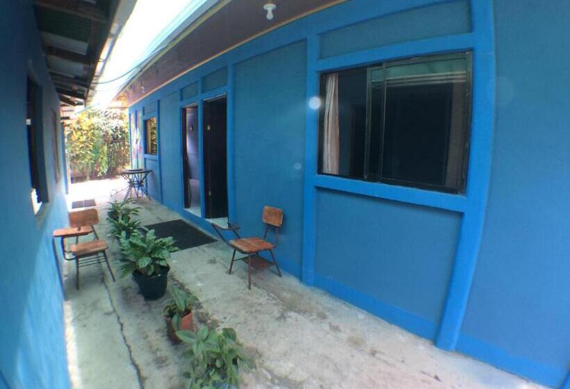 家庭间, Green Macaw Hostel
