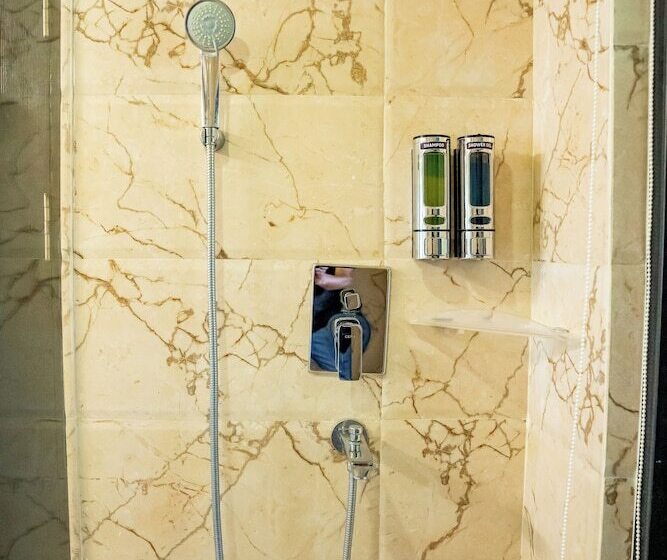 اتاق سوپریور, Sarowar