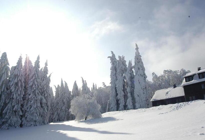 1 Yatak Odalı Ev, Spießberghaus