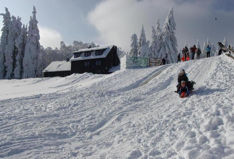 Teraslı 1 Yatak Odalı Daire, Spießberghaus