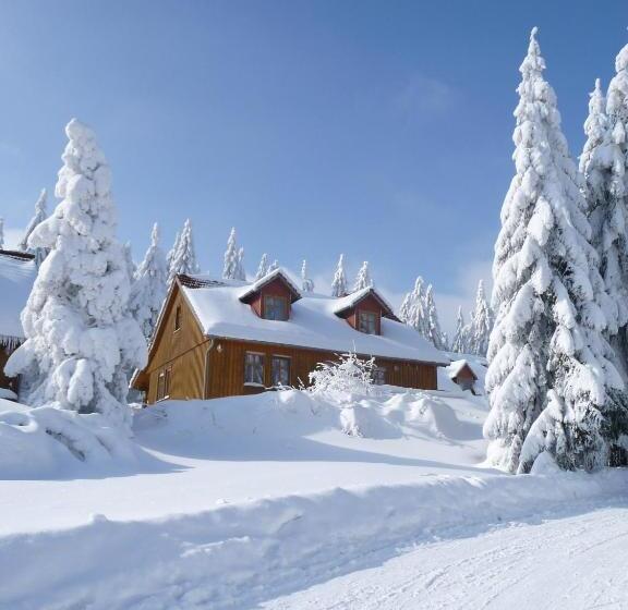 Teraslı 1 Yatak Odalı Daire, Spießberghaus