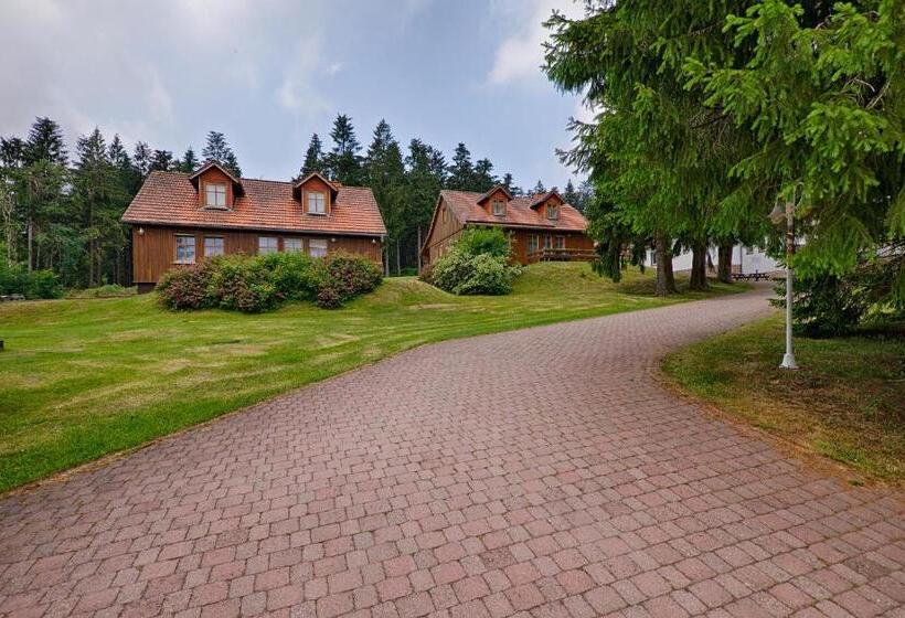 Teraslı 1 Yatak Odalı Daire, Spießberghaus