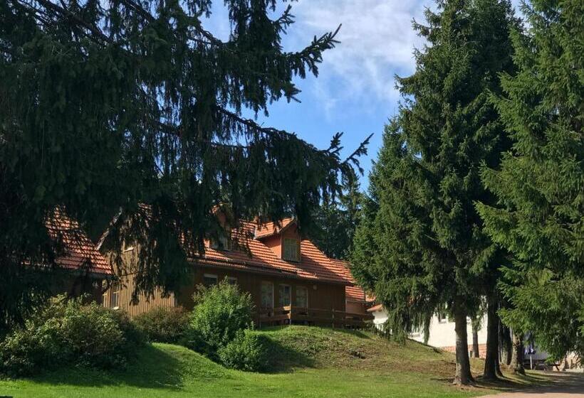 2 Yatak Odalı Daire, Spießberghaus