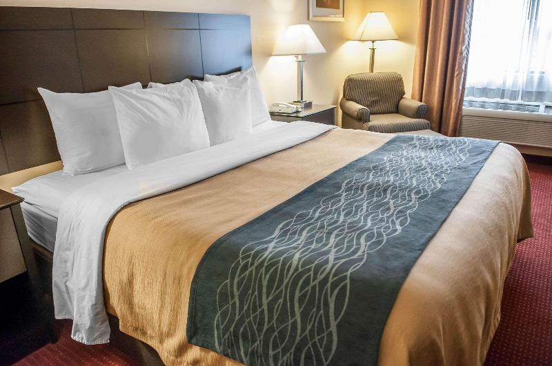 스탠다드 룸, My Ella Bodrum Resort & Spa