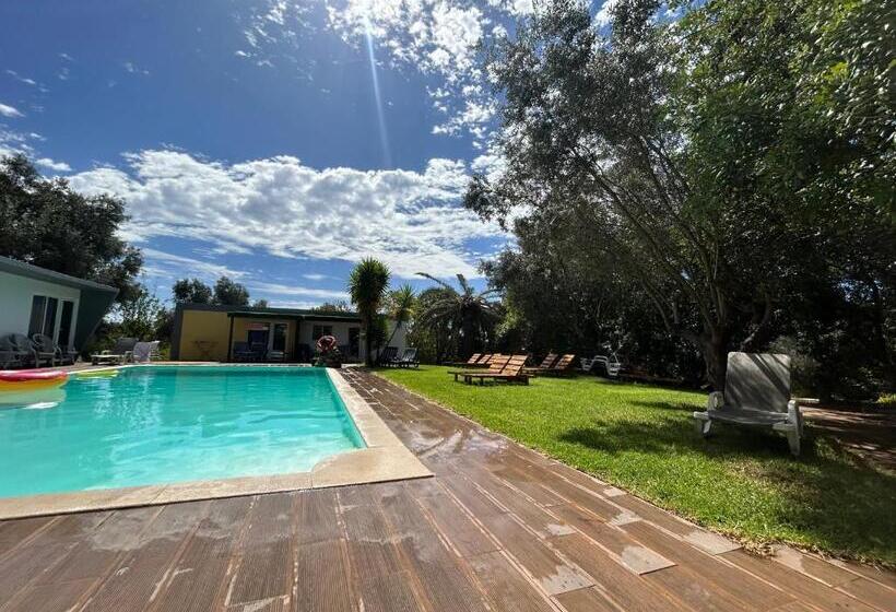 بنجلو قياسى مطلّ علي الحديقة, Quinta Da Joia