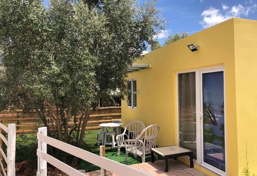 بنجلو قياسى, Quinta Da Joia