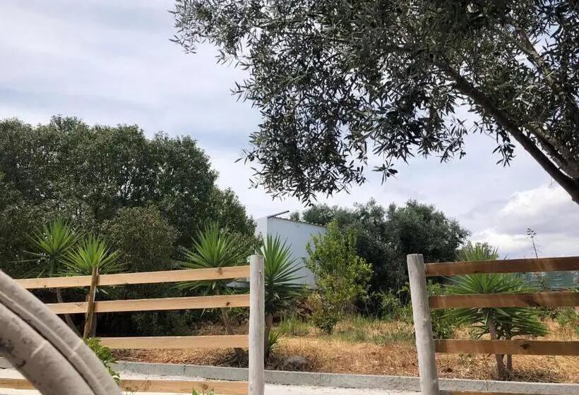 スタンダードバンガロー, Quinta Da Joia