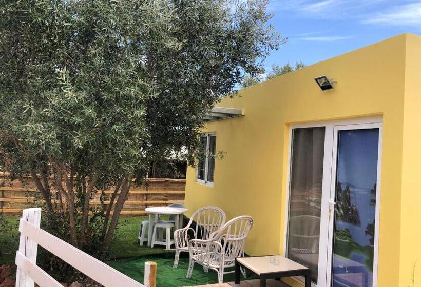 بنجلو قياسى, Quinta Da Joia