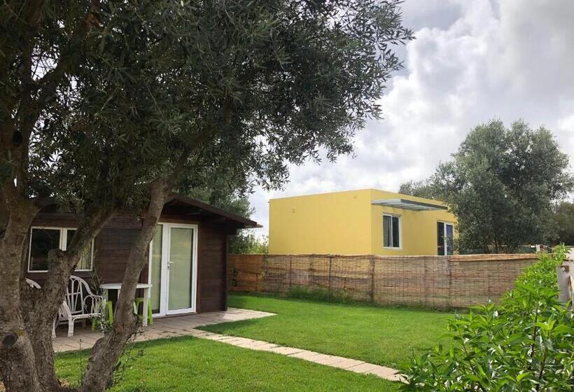 샬레, Quinta Da Joia