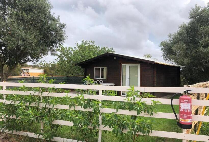 شاليه غرفة نوم واحدة, Quinta Da Joia