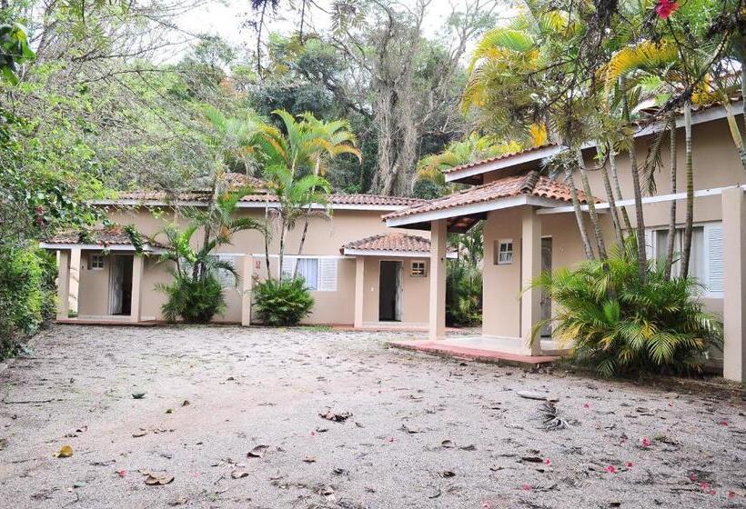 Junior Süit, Nosso Sonho