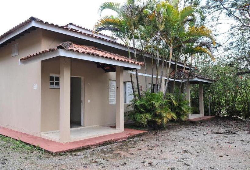 Junior Süit, Nosso Sonho