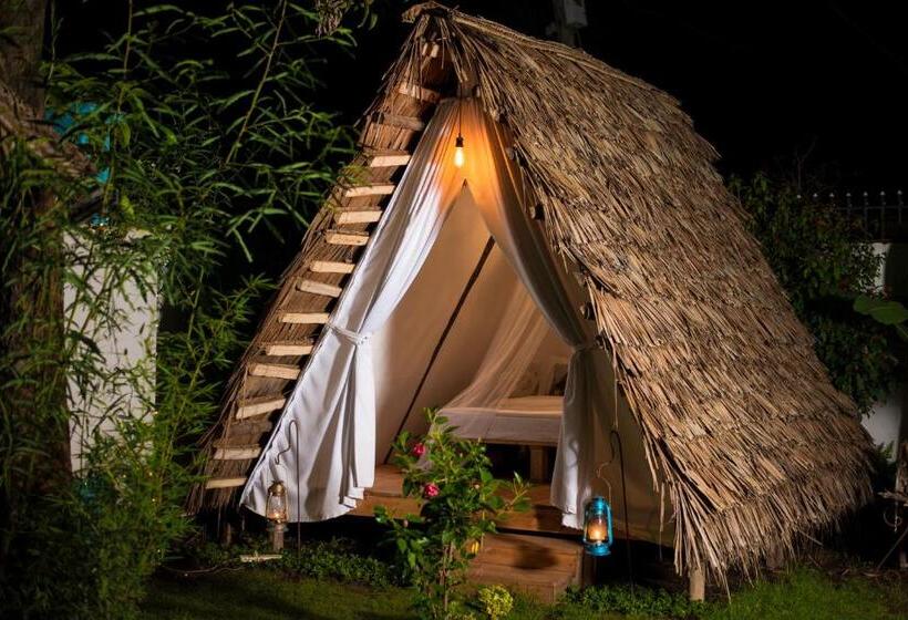 چادر با خدمات رفاهی استاندارد, Mambo Arusha Hostel