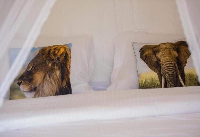 چادر با خدمات رفاهی استاندارد, Mambo Arusha Hostel