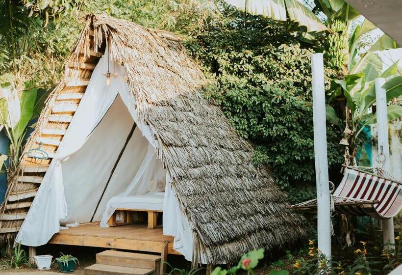 چادر با خدمات رفاهی استاندارد, Mambo Arusha Hostel