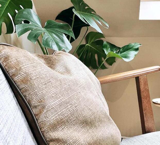 Номер Стандарт, Domus Portus