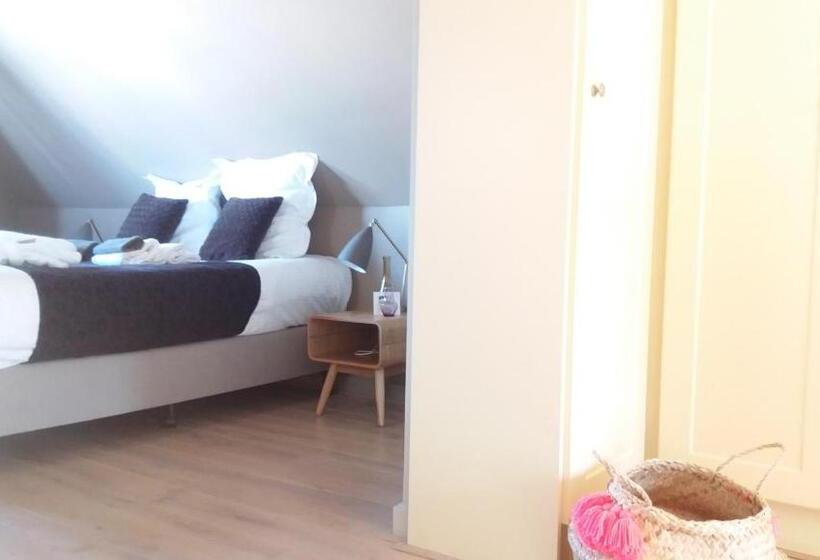 Номер Стандарт, Domus Portus