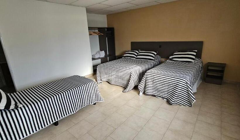 １ベッドルームアパートメント, Eclat Suites Hotel Boutique