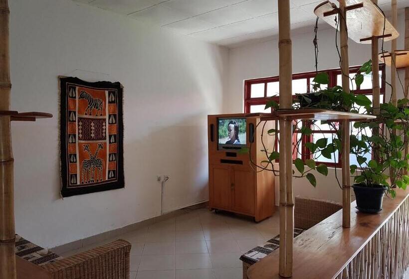 חדר סטנדרט, Ifisi Community Centre