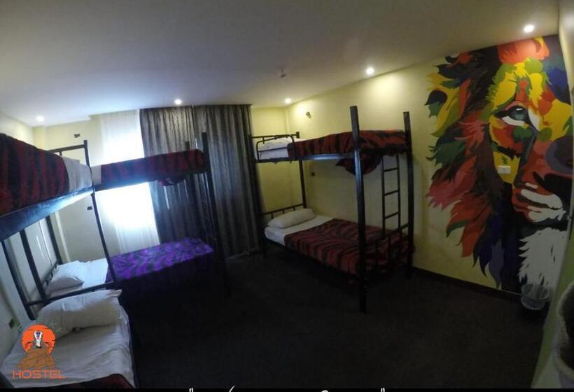 تختخواب در اتاق مشترک, Rafiki Hostel