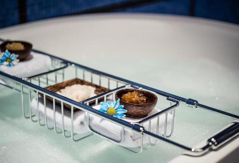 اتاق سوپریور با چشم‌انداز شهر, Dinamo Hotel Baku