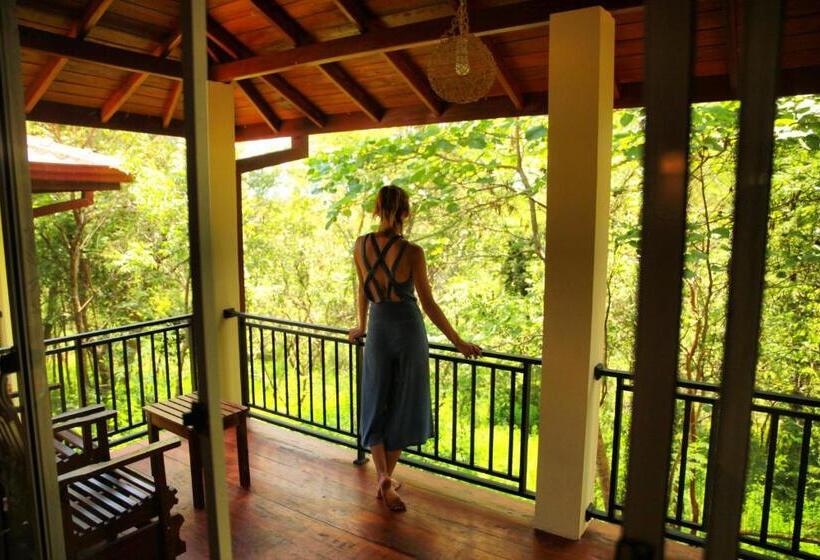 Quarto Deluxe com Sacada, Jungle Paradise