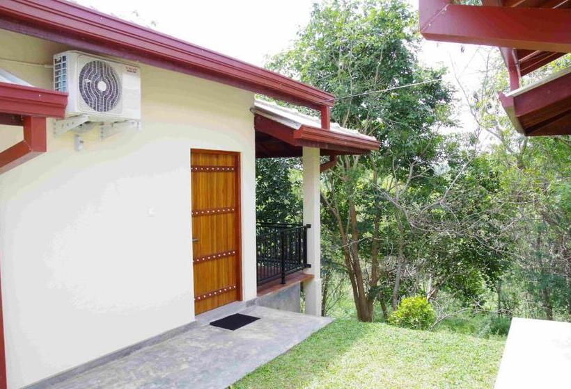 Quarto Familiar, Jungle Paradise