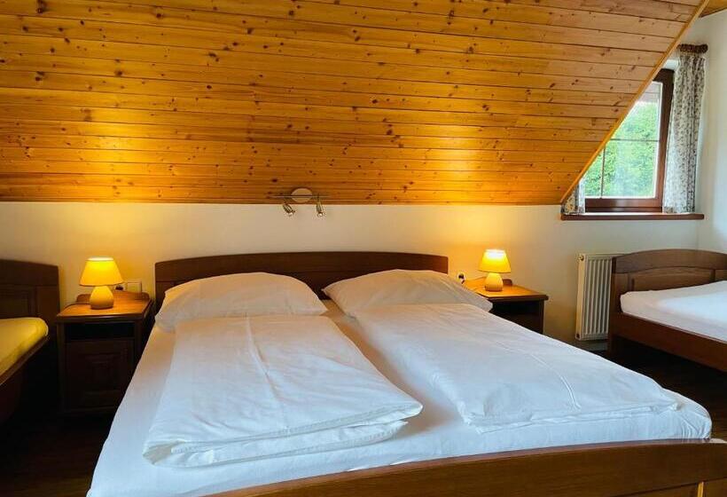 Семейный Номер, Penzion Pod Dratnikem