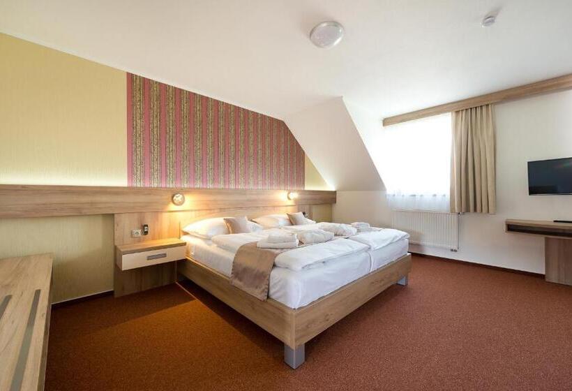 带大床的套房, Wellness Penzion Medličky