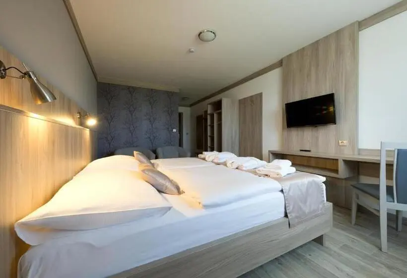 デラックスルーム, Wellness Penzion Medličky