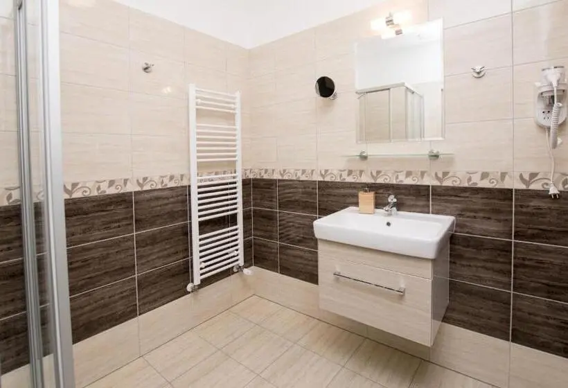 デラックスルーム, Wellness Penzion Medličky