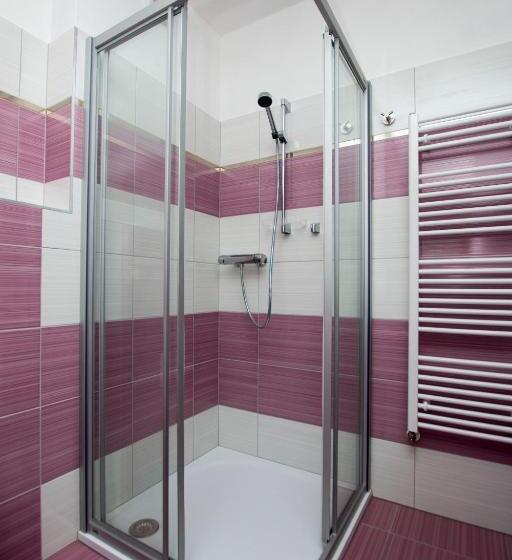 豪华单人间, Wellness Penzion Medličky