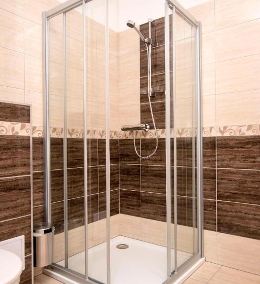 Номер Deluxe Одноместный, Wellness Penzion Medličky