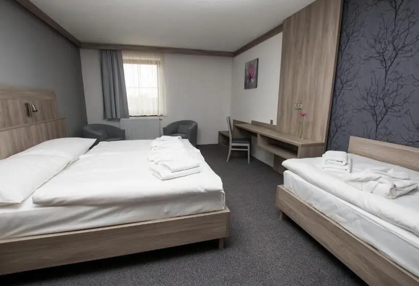 デラックスルーム, Wellness Penzion Medličky